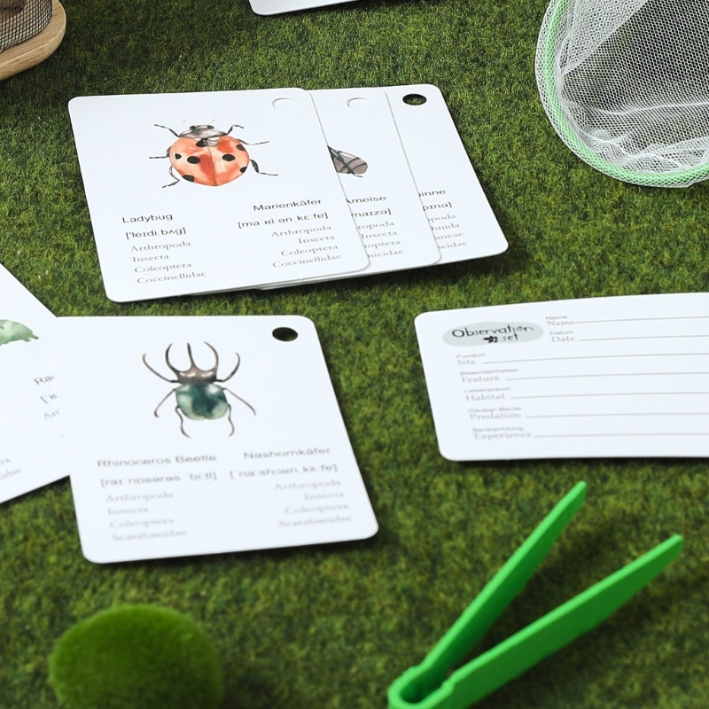 Outdoor-Abenteuerpaket für Kin – Outdoor Adventure Educator Bewertung und Preis